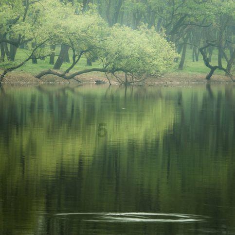 平湖精心描绘“未来乡村”和美场景